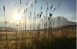 Frühbucherspecial im Herbst