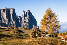 Herbstspecial -5% auf den Halbpensionspreis!