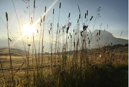 Frühbucherspecial im Herbst