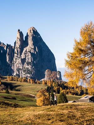 Herbstspecial -5% auf den Halbpensionspreis!