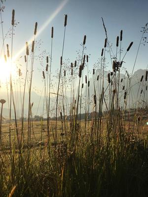 Frühbucherspecial im Herbst